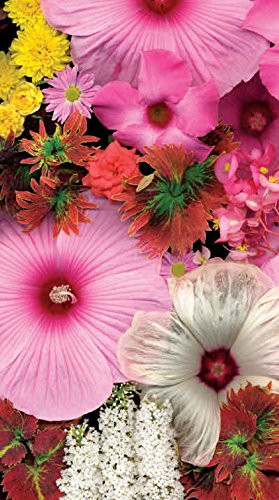 Springbok Puzzles Blossom Bouquet Bridge Score Pads