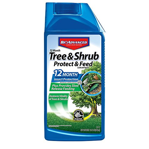 BAYER CROP SCIENCE 701901 12 Month Shrub Protect Feed Insect Killer and Tree Food 32 Ounce Concentrate BAYER CROP SCIENCE 701901 12 Month Shrub Protect Feed Insect Killer and Tree Food 32 Ounce Concentrate