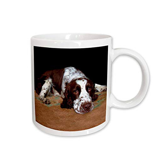 3dRose English Springer Spaniel Mug, 15-Ounce