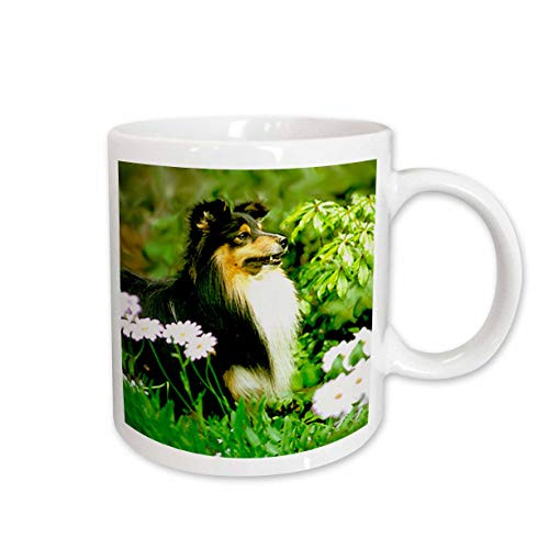 3dRose Sheltie Mug, 15-Ounce