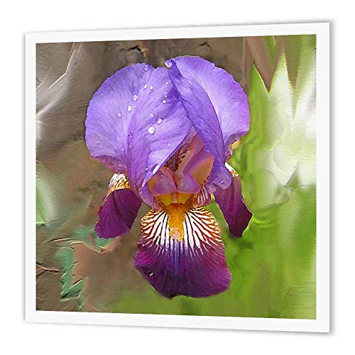 3dRose ht 4119 2 Purple Iris Iron on Heat Transfer for White Material 6 by 6 Inch 3dRose ht 4119 2 Purple Iris Iron on Heat Transfer for White Material 6 by 6 Inch