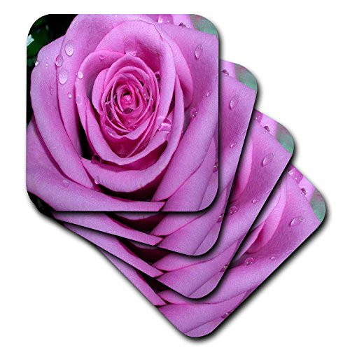 3dRose CST 1264 3 Ceramic Tile Coasters Set of 4 Purple Rose