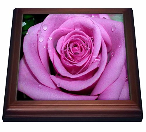 3dRose Purple Rose Trivet with Ceramic Tile 8 by 8  Brown