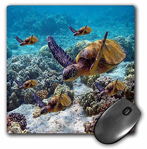 3dRose LLC 8 x 8 x 0.25 Inches Mouse Pad, Sea Turtles (mp_26850_1) 3dRose LLC 8 x 8 x 0.25 Inches Mouse Pad, Sea Turtles (mp_26850_1)