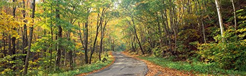 Posterazzi passing through autumn forest Golf Link Road Colebrook New Hampshire USA Poster Print 27 x 9 Posterazzi passing through autumn forest Golf Link Road Colebrook New Hampshire USA Poster Print 27 x 9