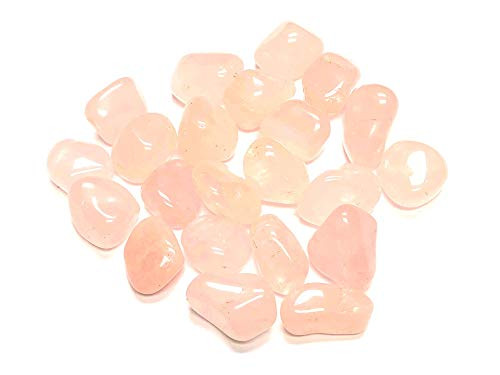Zentron Crystal Collection  Tumbled Natural Rose Quartz Stones   Large 1  Pieces  1 Pound