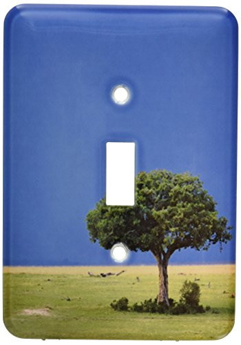3dRose lsp 72824 1 Sausage Tree in Plains Masai Mara Game Reserve Kenya Single Toggle Switch