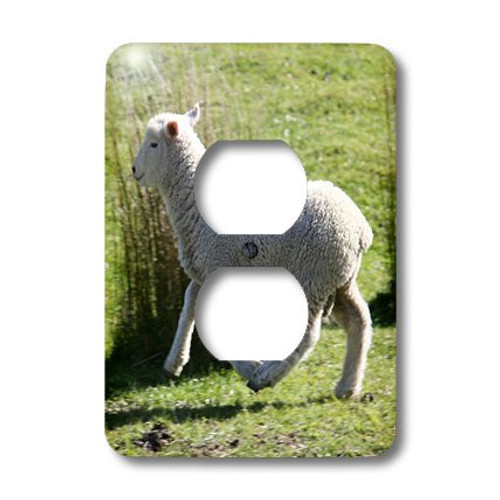 3dRose lsp_22806_6 Skipping Sheep Golden Bay New Zealand 2 Plug Outlet Cover 3dRose lsp_22806_6 Skipping Sheep Golden Bay New Zealand 2 Plug Outlet Cover