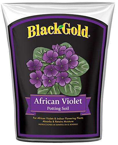 Sun Gro Horticulture Black Gold African Violet Mix