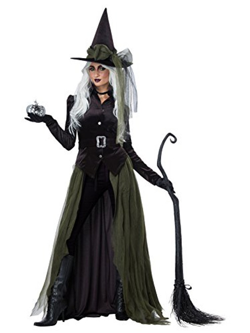 California Costumes Women s Gothic Witch Adult Costume Black Green Large
