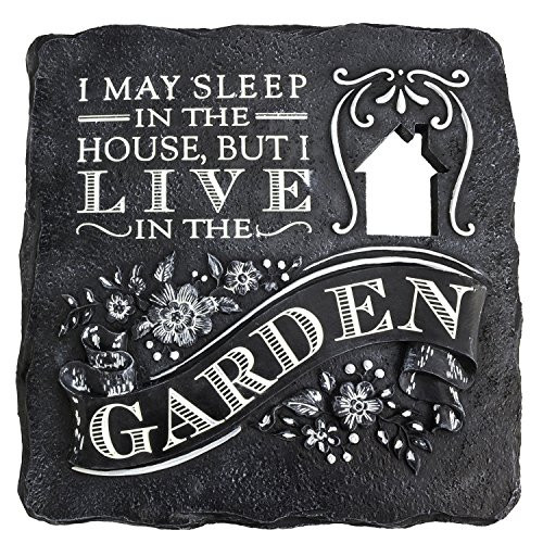 Grasslands Road  I May Sleep In  Stepping Stone