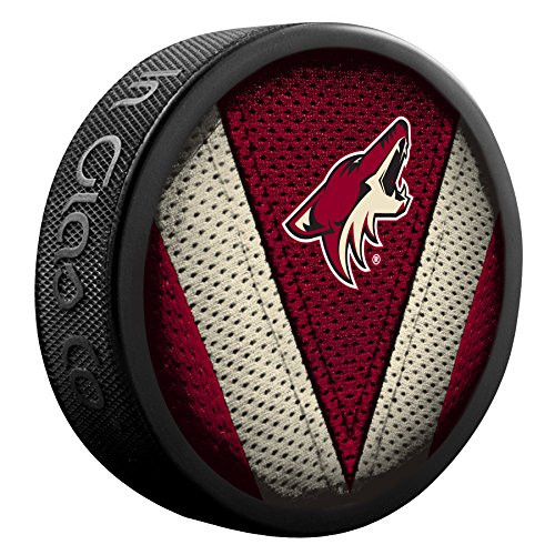 Inglasco NHL Arizona Coyotes 510AN000566 Souvenir Puck