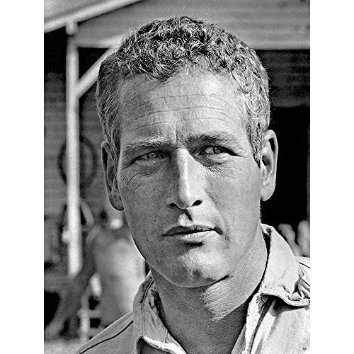 Wee Blue Coo Film Movie 1967 Paul Man Hand Luke Unframed Wall Art Print Poster Home Decor Premium