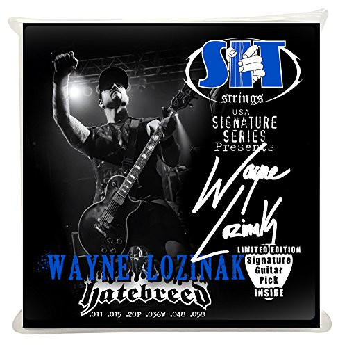 SIT Strings SIT Stay In Tune SS S1158WL Wayne Lozinak Signature Series Power Wound Electric