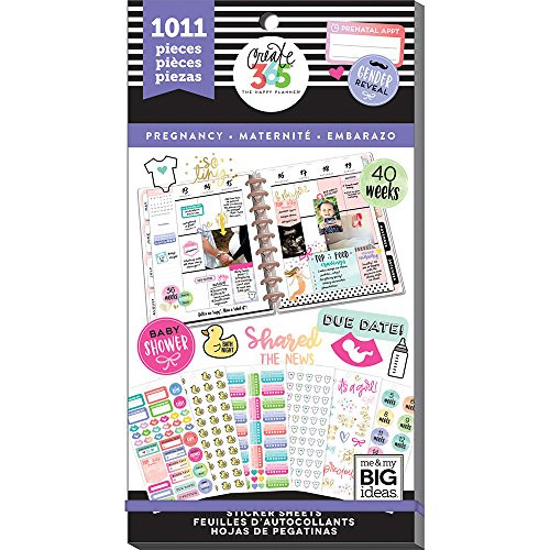 me & My Big Ideas PPSV-56-3048 The Happy Planner Value Pack Stickers-Pregnancy, Multicolor