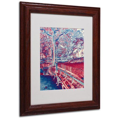 Red Blue I Canvas Wall Art by Miguel Paredes, Wood Frame, 11 by 14-Inch