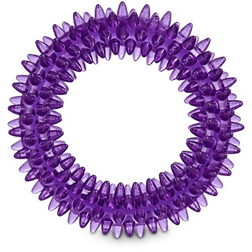 Leaps   Bounds Romp and Run Spiny Ring Dog Toy in Assorted Colors 375  X Small