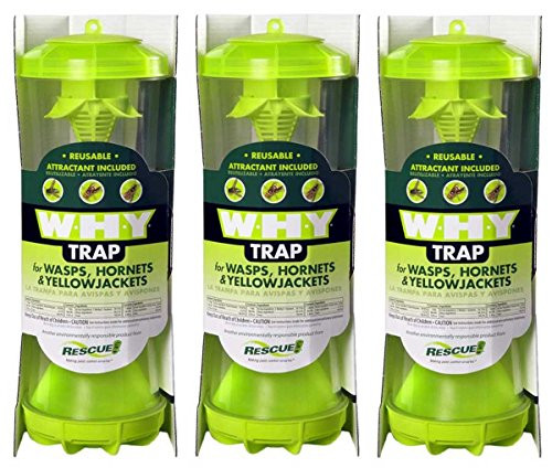 RESCUE  WHY Trap for Wasps Hornets Yellowjackets  Hanging Outdoor Trap