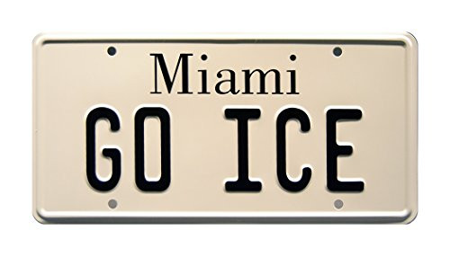 Celebrity Machines Vanilla Ice   GO ICE   Metal Stamped License Plate