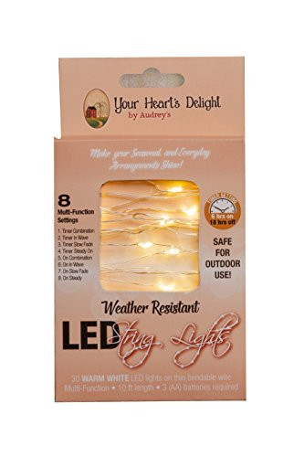 Your Heart's Delight 8L8588 12" x 12" x 12" Warm White 30 LED String Lights Outdoor Multi-Function with Timer