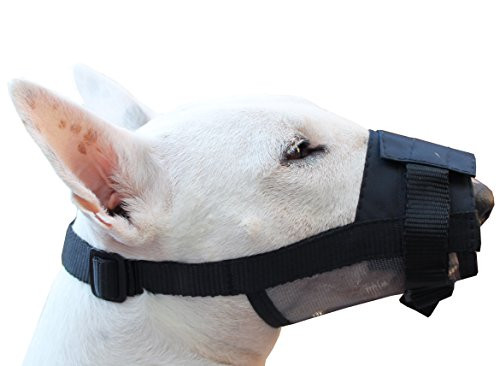 Adjustable Nylon Dog Grooming Muzzle  Small  55  75  Snout