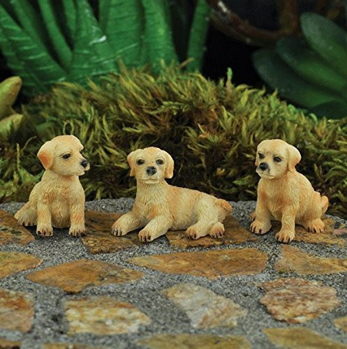 The Fiddlehead Fairy Garden Miniature Dogs Accessory Set (Set of 3) #16870