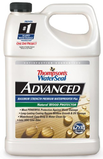 Thompsons WaterSeal THA21711 16 Advanced Natural Wood Protector gallon