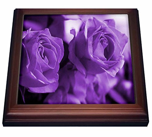 3dRose Three Dusty Purple Roses Trivet with Ceramic Tile 8 by 8  Brown