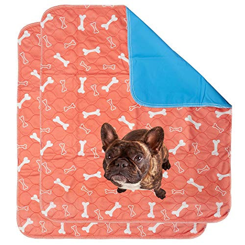 Washable   Reusable Pee Pads for Dogs   Puppy Training  2 Pack  Sm Med Lg   for Housebreaking Incontinence Odor Control Whelping   Travel   Fast Absorbing   Waterproof   Free Puppy Training eBOOK