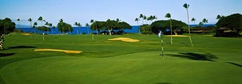 Posterazzi Trees Kaanapali Golf Course Maui Hawaii USA Poster Print  12 x 36