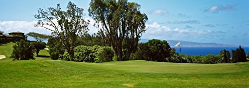 Posterazzi Trees Kapalua Golf course Maui Hawaii USA Poster Print  36 x 12
