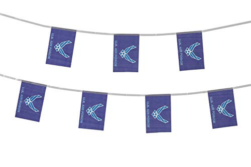 TSMD 100 Feet US Air Force Wings Flag Small Mini United States Military Polyester Flags BannerDecorations Supplies for Army Party Events Celebration