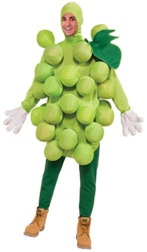 Forum Novelties Green Grapes Costume Green Standard