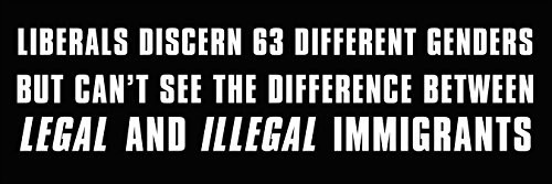 American Vinyl Liberals Discern 63 Genders Illegal Immigration Bumper Sticker  Border Conservative