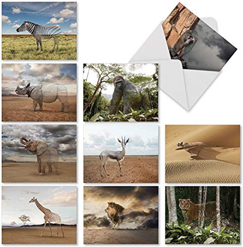 The Best Card Company   10 Blank Note Cards for All Occasions  4 x 512 Inch    Boxed Animal Cards for Kids   Vanishing Wildlife M1736BN