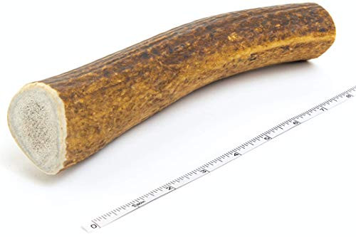 Devil Dog Pet Co Antler Dog Chew Premium Elk Antlers for Dogs Long Lasting Dog Bones for Aggressive Chewers No Mess No Odor Wild Shed in The USA Veteran Owned Extra Large Devil Dog Pet Co Antler Dog Chew Premium Elk Antlers for Dogs Long Lasting Dog Bones for Aggressive Chewers No Mess No Odor Wild Shed in The USA Veteran Owned Extra Large