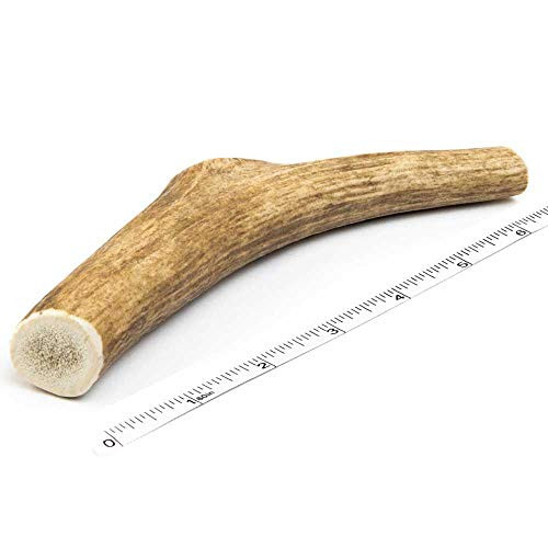 Devil Dog Pet Co Antler Dog Chew Premium Elk Antlers for Dogs Long Lasting Dog Bones for Aggressive Chewers No Mess No Odor Wild Shed in The USA Veteran Owned Large Devil Dog Pet Co Antler Dog Chew Premium Elk Antlers for Dogs Long Lasting Dog Bones for Aggressive Chewers No Mess No Odor Wild Shed in The USA Veteran Owned Large