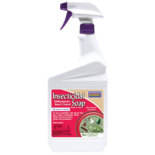 Bonide PRODUCTS INC 912102 652 Ready-to-Use Insect Soap, Quart, 1 Bonide PRODUCTS INC 912102 652 Ready-to-Use Insect Soap, Quart, 1