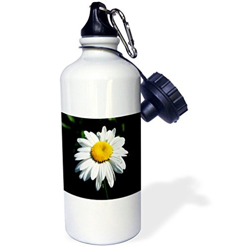3dRose  White Daisy on Black Background daisy dasies ox eye daisy dog daisy margarite white flower  Sports Water Bottle 21 oz White