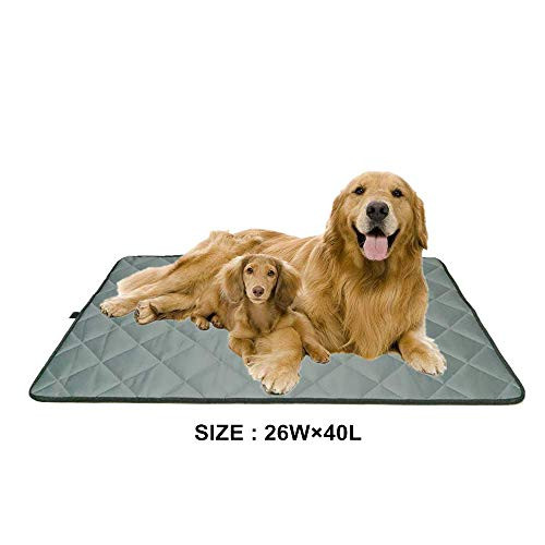 Voluka Dog Crate Bed Mat   Washable Kennel Pad Anti   Slip Dog Crate Pad is Perfect for Dog BedCrate and Kennel Grey  26Wx40L Voluka Dog Crate Bed Mat   Washable Kennel Pad Anti   Slip Dog Crate Pad is Perfect for Dog BedCrate and Kennel Grey  26Wx40L