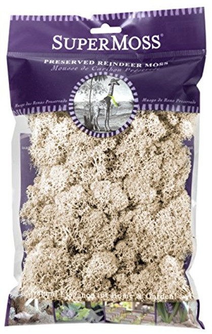 SuperMoss  21702  Reindeer Moss Preserved Natural 2oz