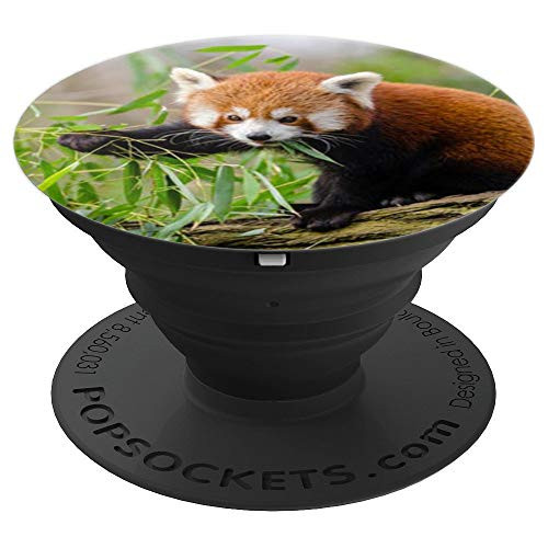 Cute Red Panda Pop Socket Fox Bear Lover Nature PopSockets Grip and Stand for Phones and Tablets Cute Red Panda Pop Socket Fox Bear Lover Nature PopSockets Grip and Stand for Phones and Tablets