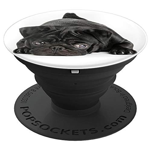 Black Pug Puppy Portrait Beautiful Dog Pug Mom Dad Gift Cute PopSockets Grip and Stand for Phones and Tablets Black Pug Puppy Portrait Beautiful Dog Pug Mom Dad Gift Cute PopSockets Grip and Stand for Phones and Tablets