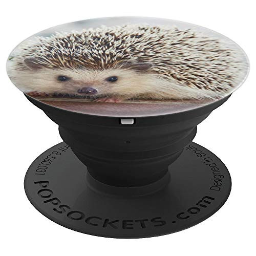 Hedgehog PopSockets Grip and Stand for Phones and Tablets