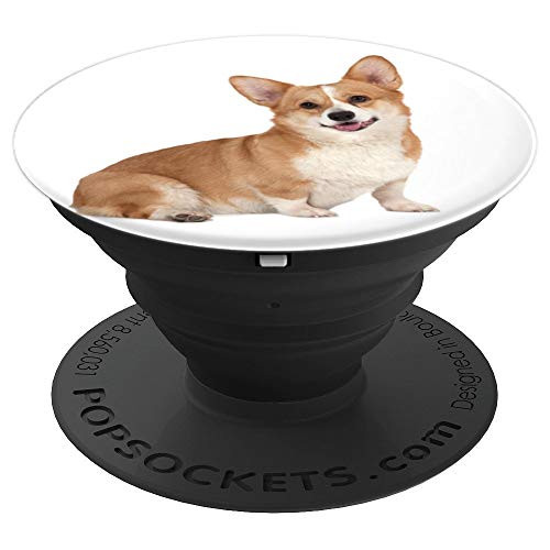 Cute Sitting Corgi With Happy Face On White Background PopSockets Grip and Stand for Phones and Tablets