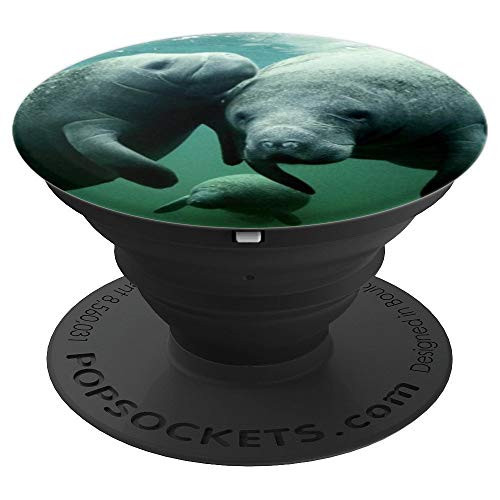 Manatee Family Sea Cow Mammal Conservation Photograph PopSockets Grip and Stand for Phones and Tablets