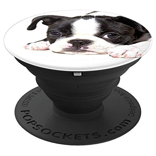 Cute Boston Terrier Dog Photo Design On White PopSockets Grip and Stand for Phones and Tablets Cute Boston Terrier Dog Photo Design On White PopSockets Grip and Stand for Phones and Tablets