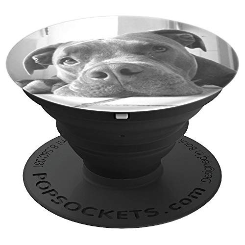 Cute Pit Bull Dog Black White Picture Gift For Dog Lover PopSockets Grip and Stand for Phones and Tablets