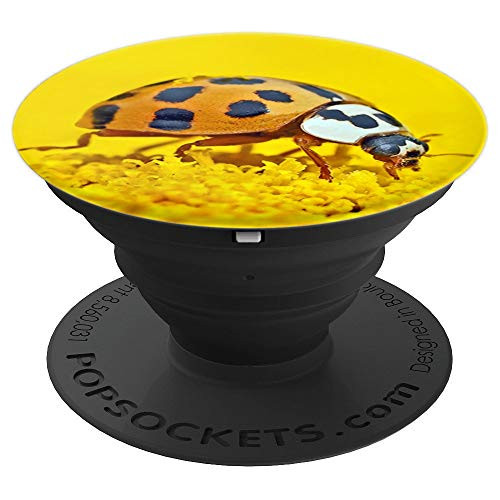 Ladybug on flower against yellow background PopSockets Grip and Stand for Phones and Tablets