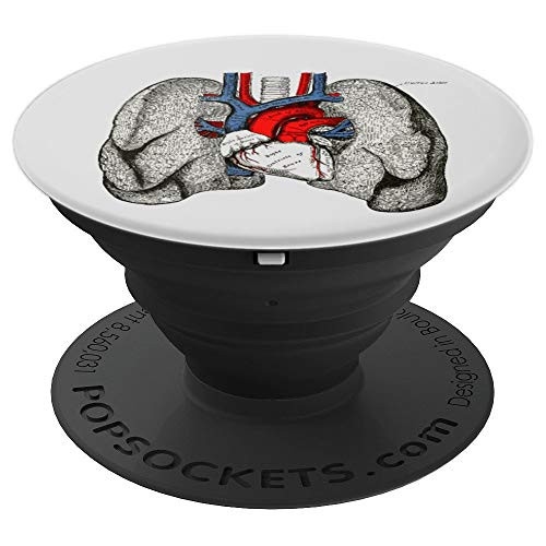 Human heart lungs Vintage medical anatomy Human lungs heart PopSockets Grip and Stand for Phones and Tablets Human heart lungs Vintage medical anatomy Human lungs heart PopSockets Grip and Stand for Phones and Tablets